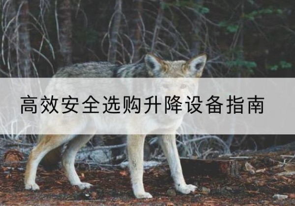 会昌升降货梯厂家推荐-*安全选购升降设备指南