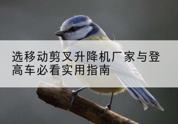 会昌电动升降机厂家-选移动剪叉升降机厂家与登高车必看实用指南