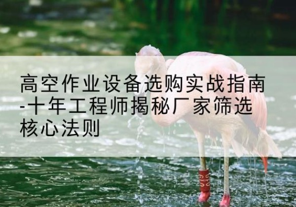 会昌剪叉式升降机厂家-高空作业设备选购实战指南-十年工程师揭秘厂家筛选核心法则